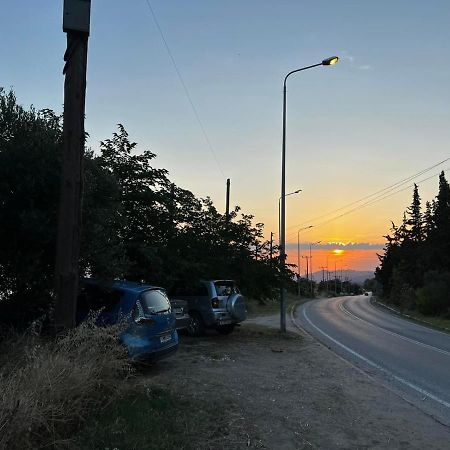 Diamantoula Apartment Nea Skioni Dış mekan fotoğraf